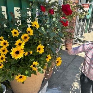 Meet your Posher, Hilda